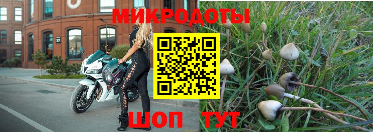 Стерлитамак  Галлюциногенные грибы Cubensis  купить наркотики цена  Вход с VPN 