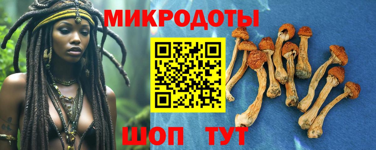 Псилоцибиновые грибы ЛСД Стерлитамак