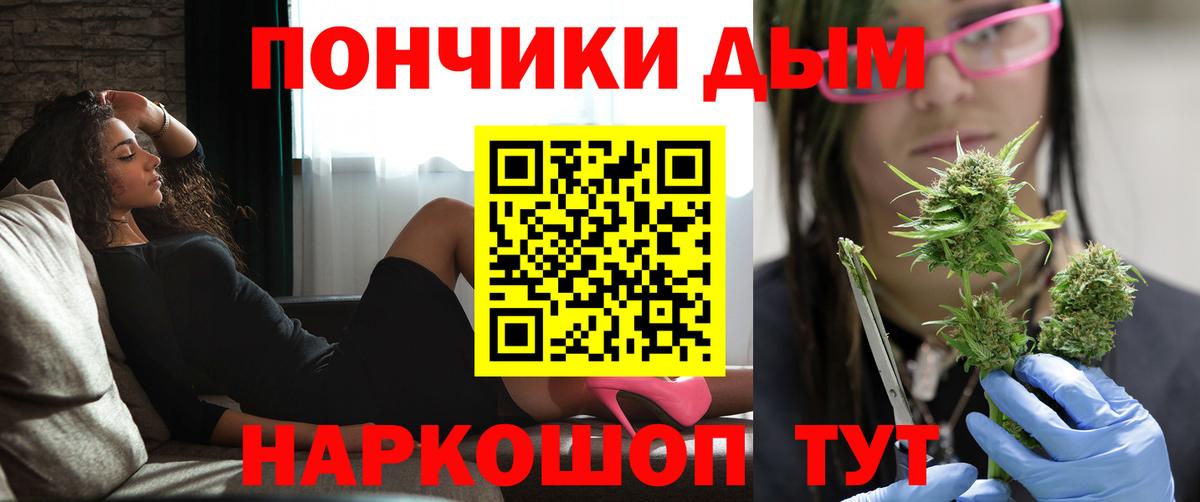 Бошки марихуана Bruce Banner  Канабис планчик  Вход с VPN  Стерлитамак 